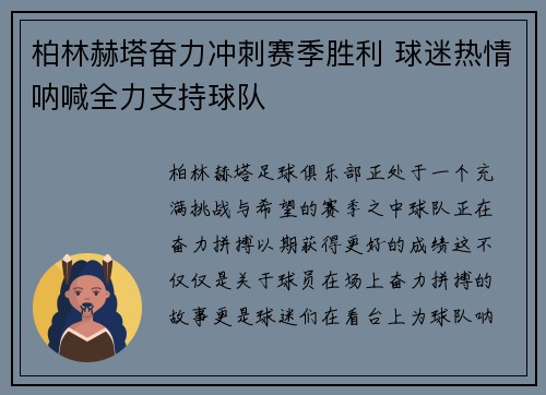 柏林赫塔奋力冲刺赛季胜利 球迷热情呐喊全力支持球队