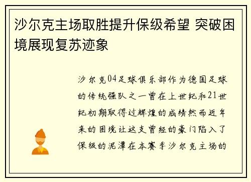 沙尔克主场取胜提升保级希望 突破困境展现复苏迹象
